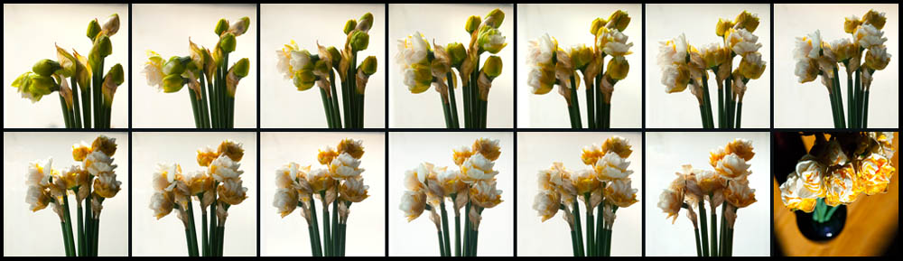 NarcisyJakoKarafiaty