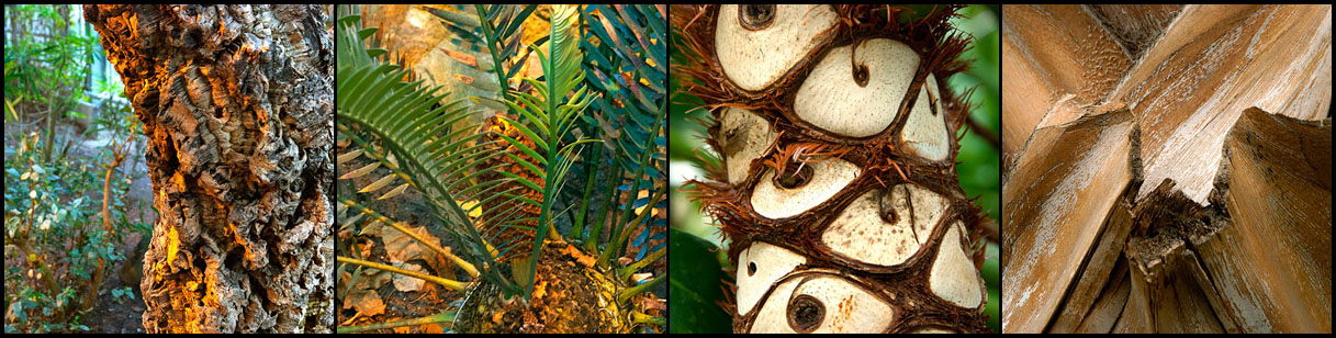 2013_12_Amsterdam_DSC0017a22a43a44