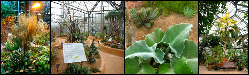 2013_12_Amsterdam_DSC0018a24a26a36