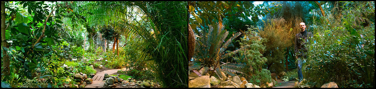 2013_12_Amsterdam_DSC0020a23