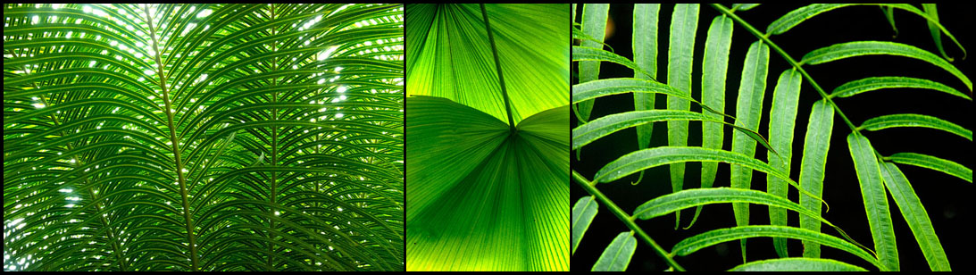 2013_12_Amsterdam_DSC0028a29a32