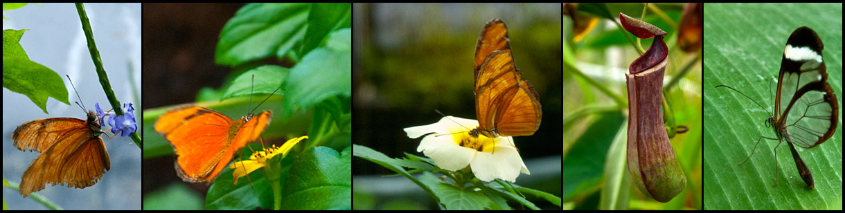 2013_12_Amsterdam_DSC0065a67a72a75a80