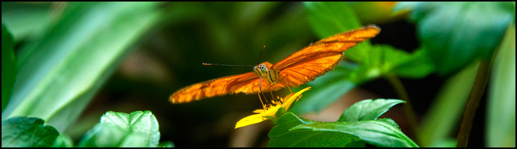 2013_12_Amsterdam_DSC0077