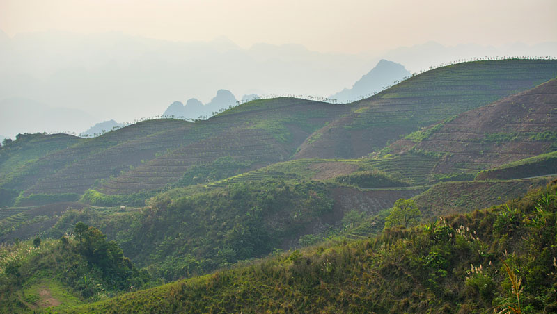 2016_04_09_Vietnam_2037